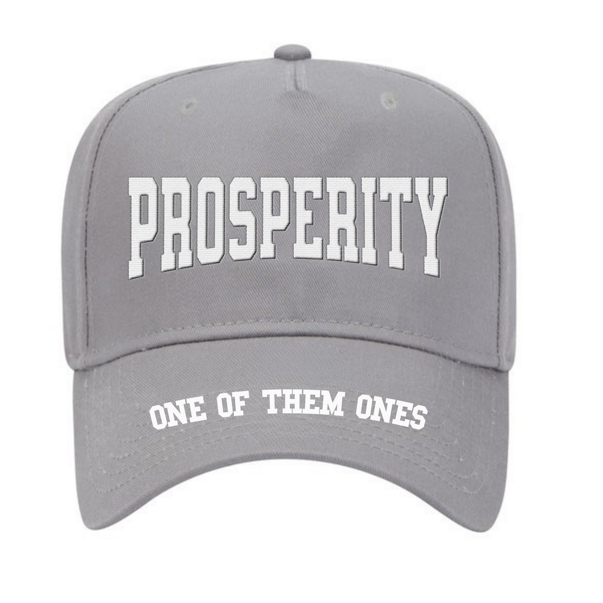 One Of Them Ones Prosperity 5 Panel Hat