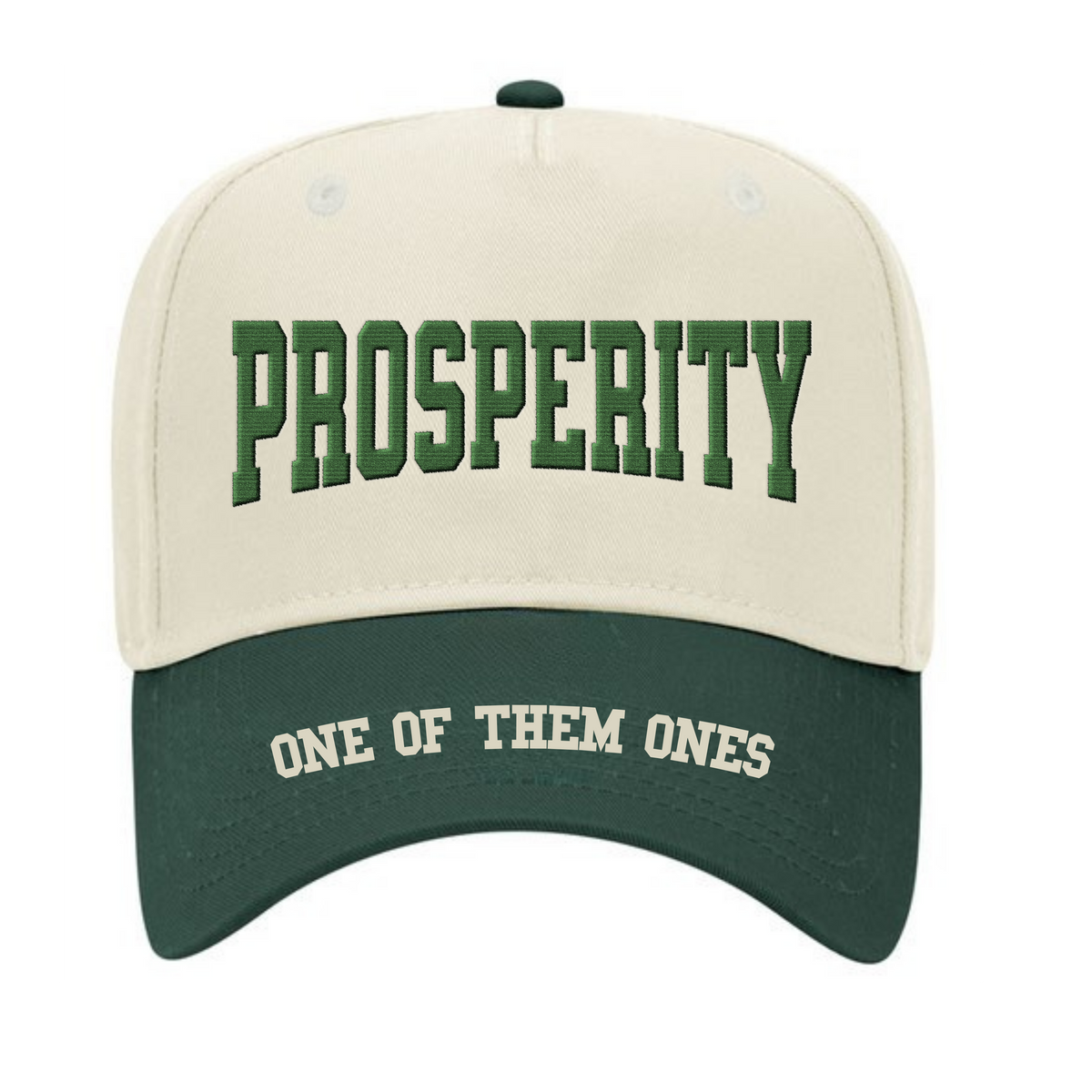 One Of Them Ones Prosperity 5 Panel Hat