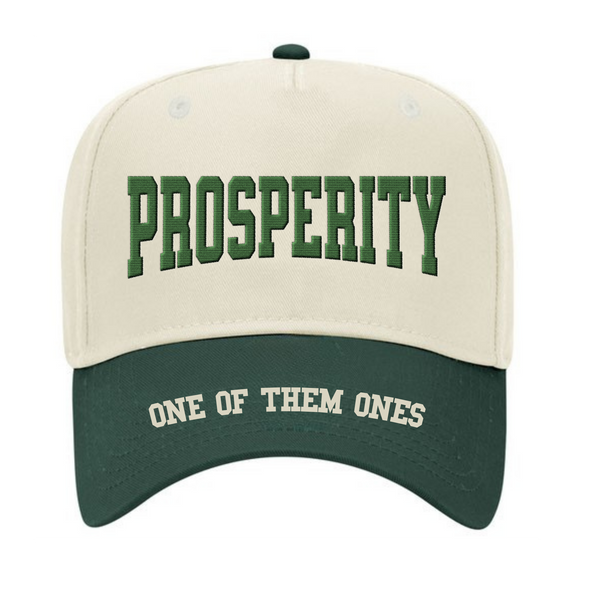 One Of Them Ones Prosperity 5 Panel Hat