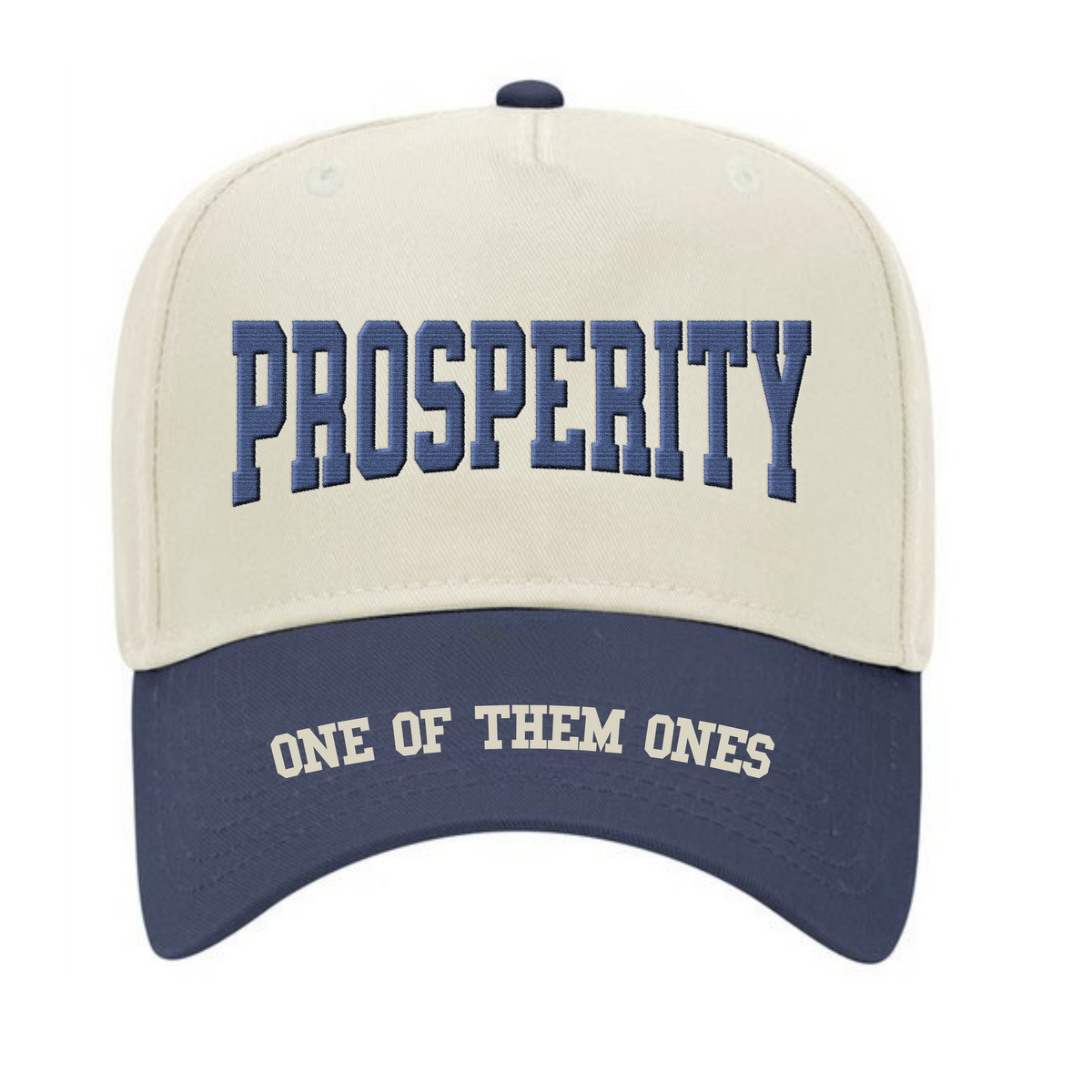 One Of Them Ones Prosperity 5 Panel Hat