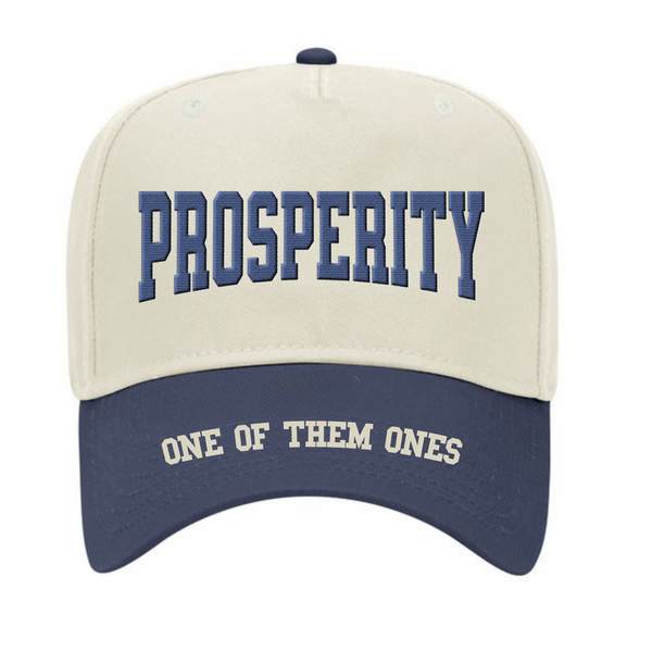 One Of Them Ones Prosperity 5 Panel Hat