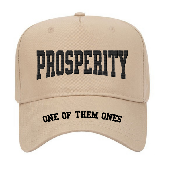 One Of Them Ones Prosperity 5 Panel Hat