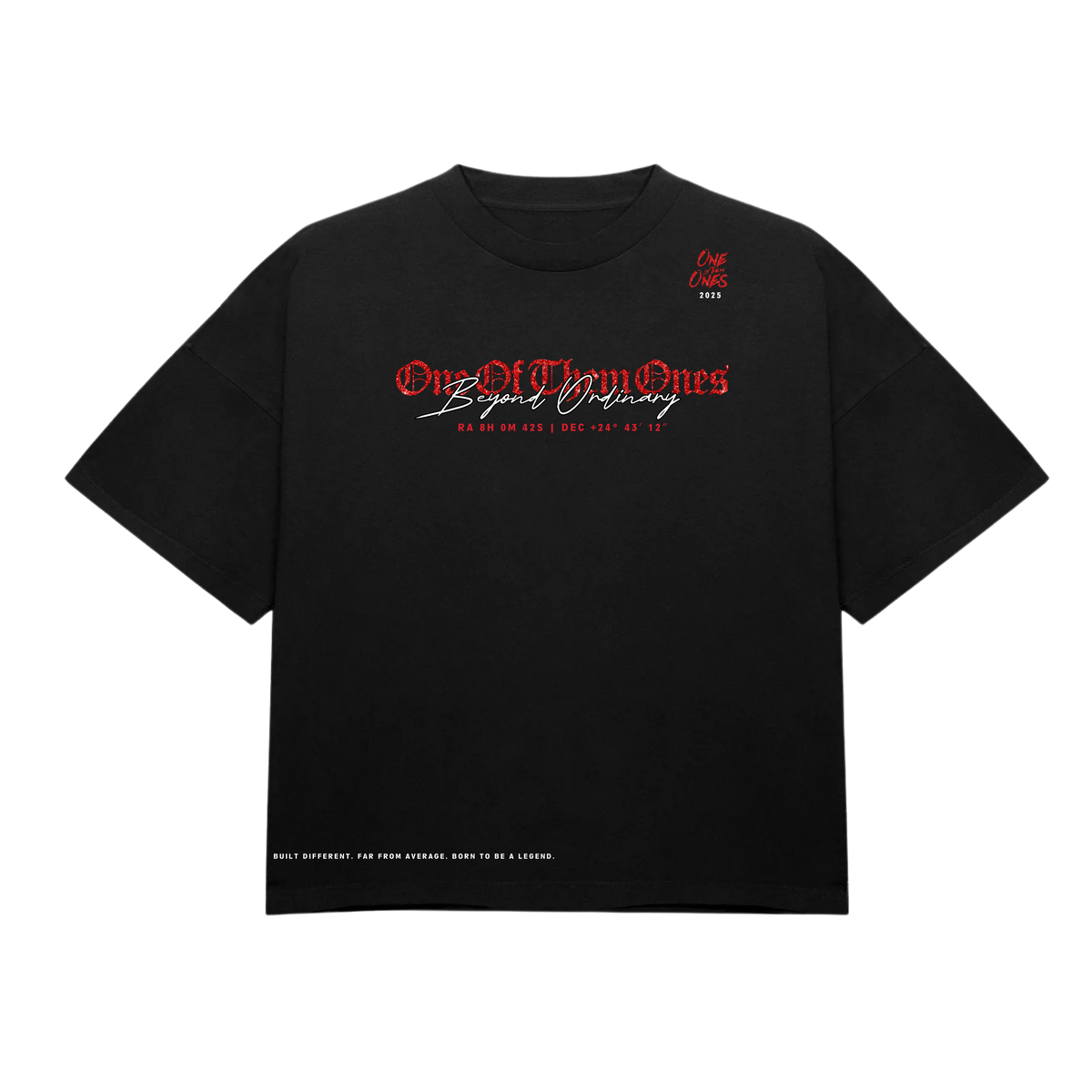 One Of Them Ones Beyond Ordinary T-Shirt