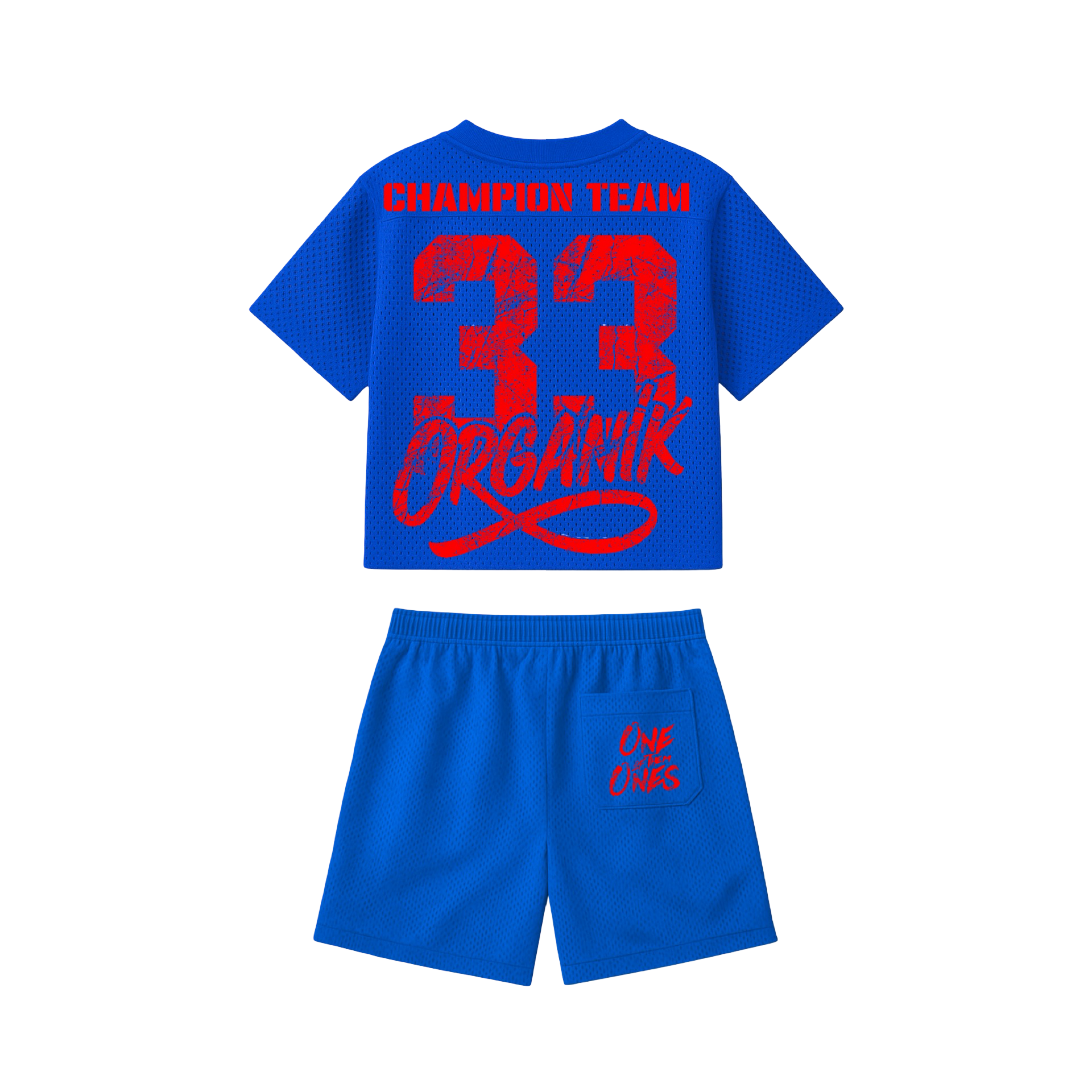 33 - Organik Lyfestyle - Exclusive Mesh Set