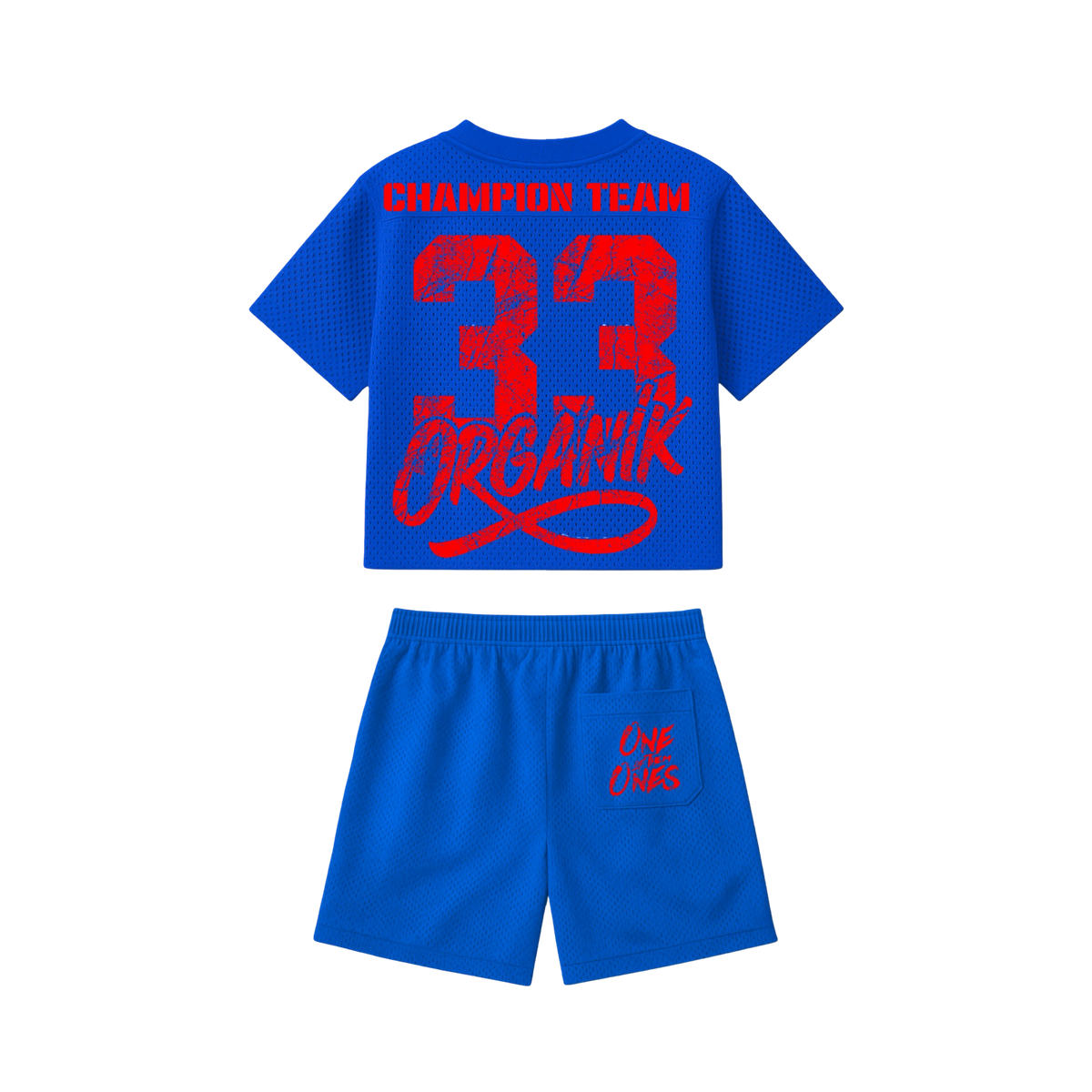 33 - Organik Lyfestyle - Exclusive Mesh Set