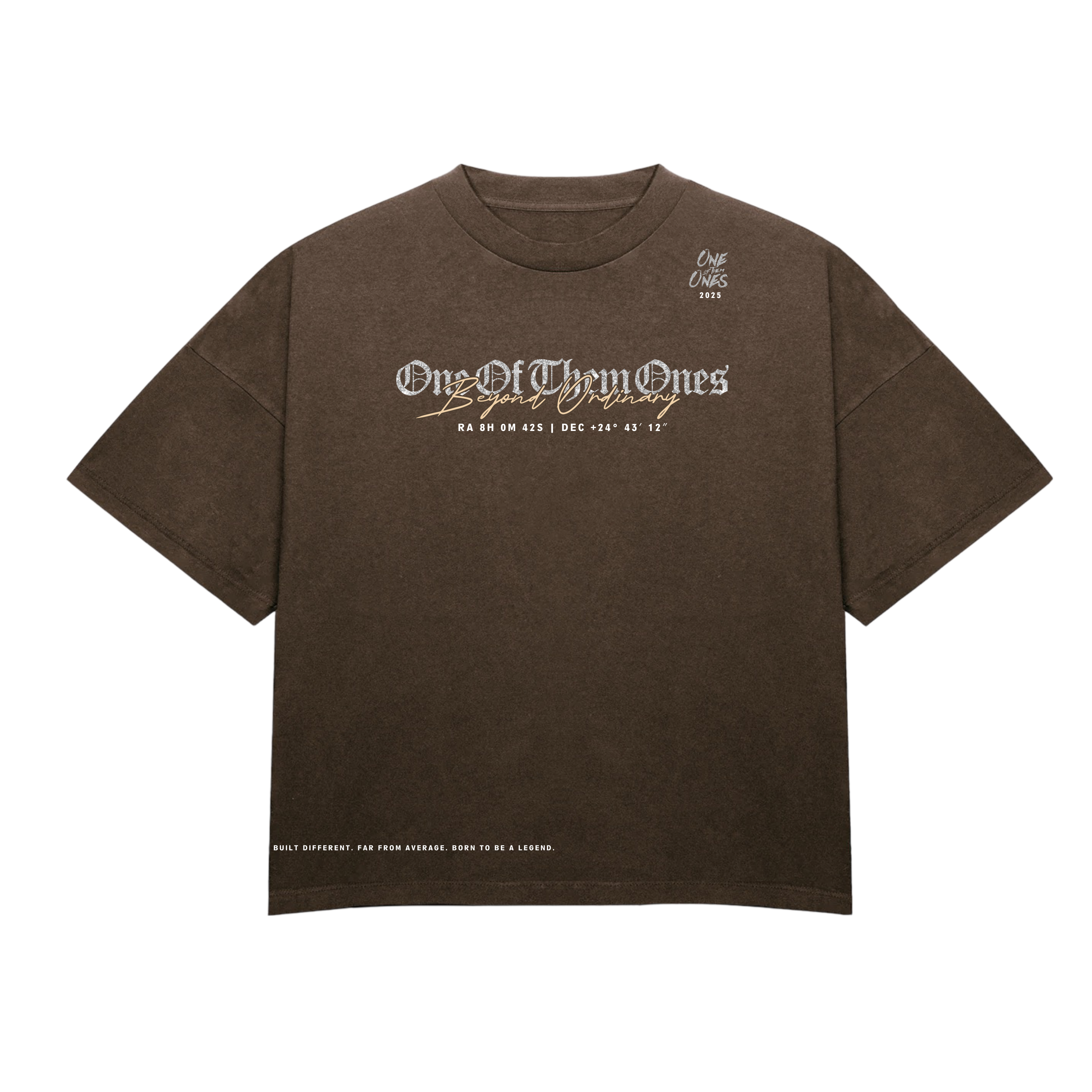 One Of Them Ones Beyond Ordinary T-Shirt