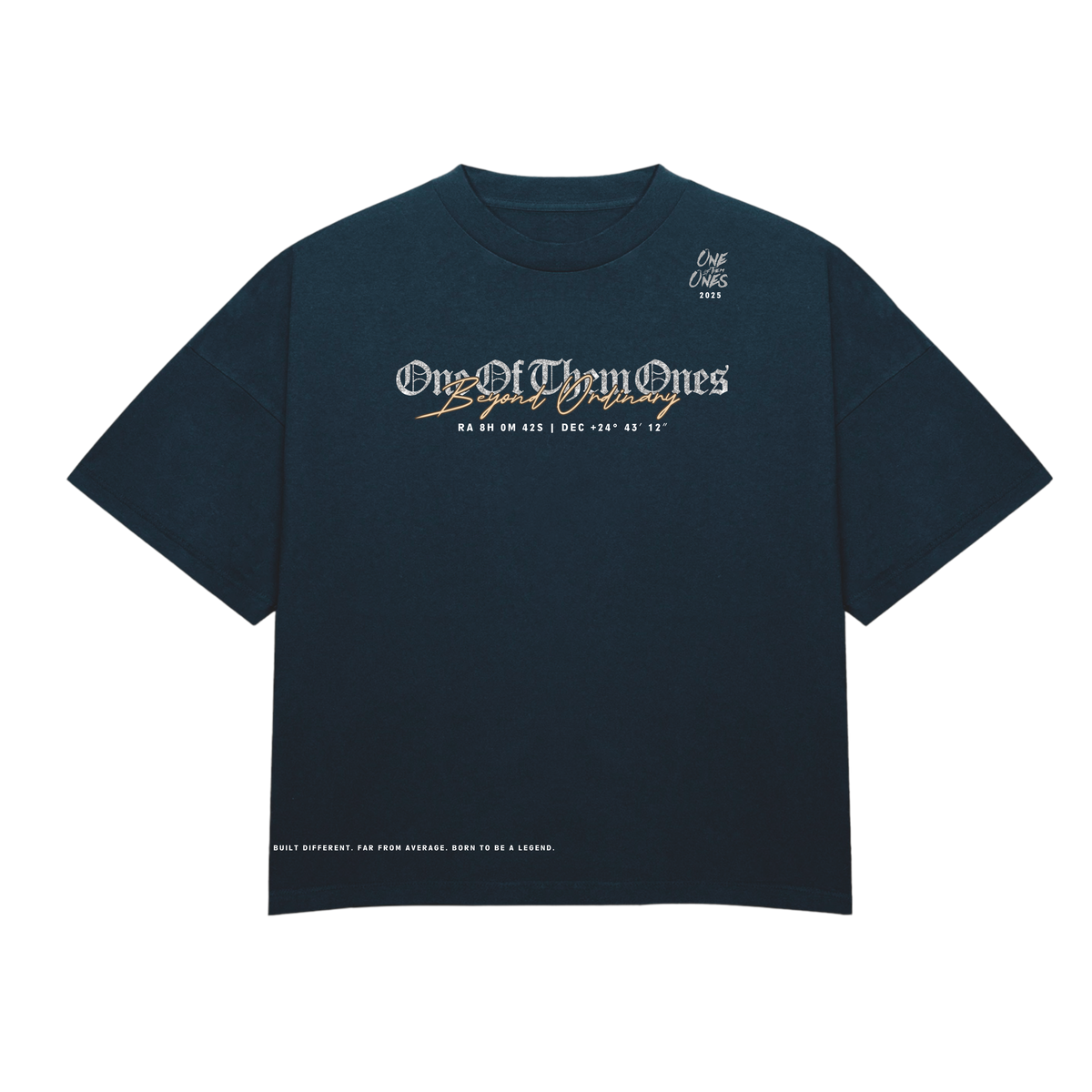 One Of Them Ones Beyond Ordinary T-Shirt