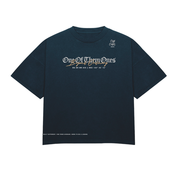 One Of Them Ones Beyond Ordinary T-Shirt