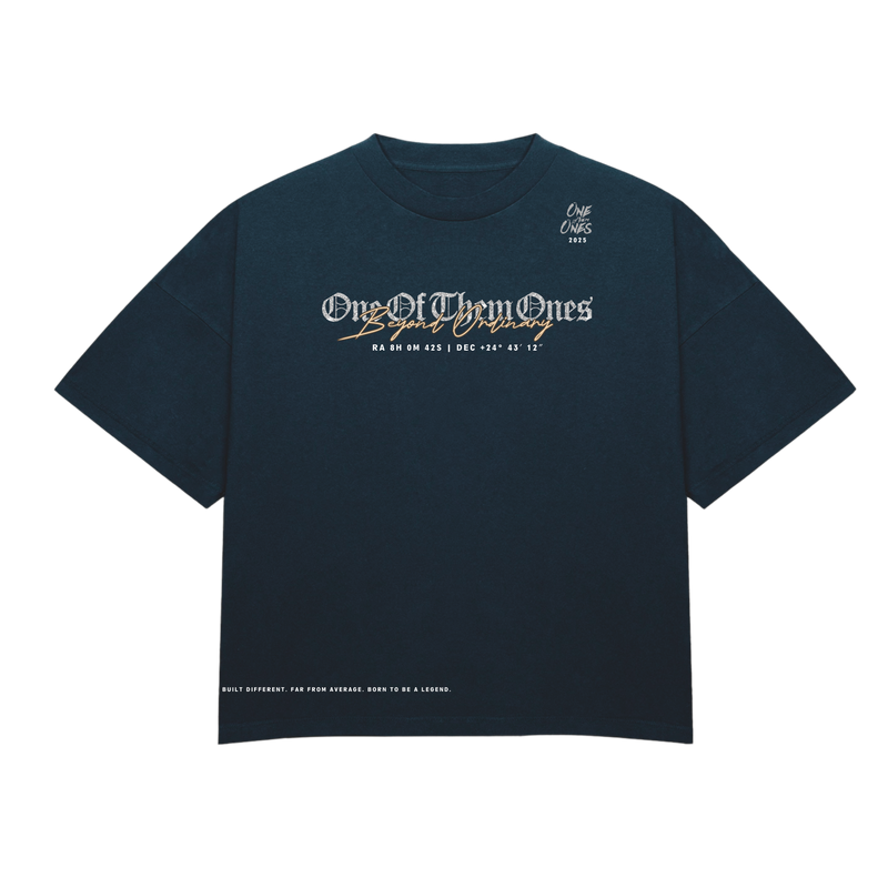 One Of Them Ones Beyond Ordinary T-Shirt