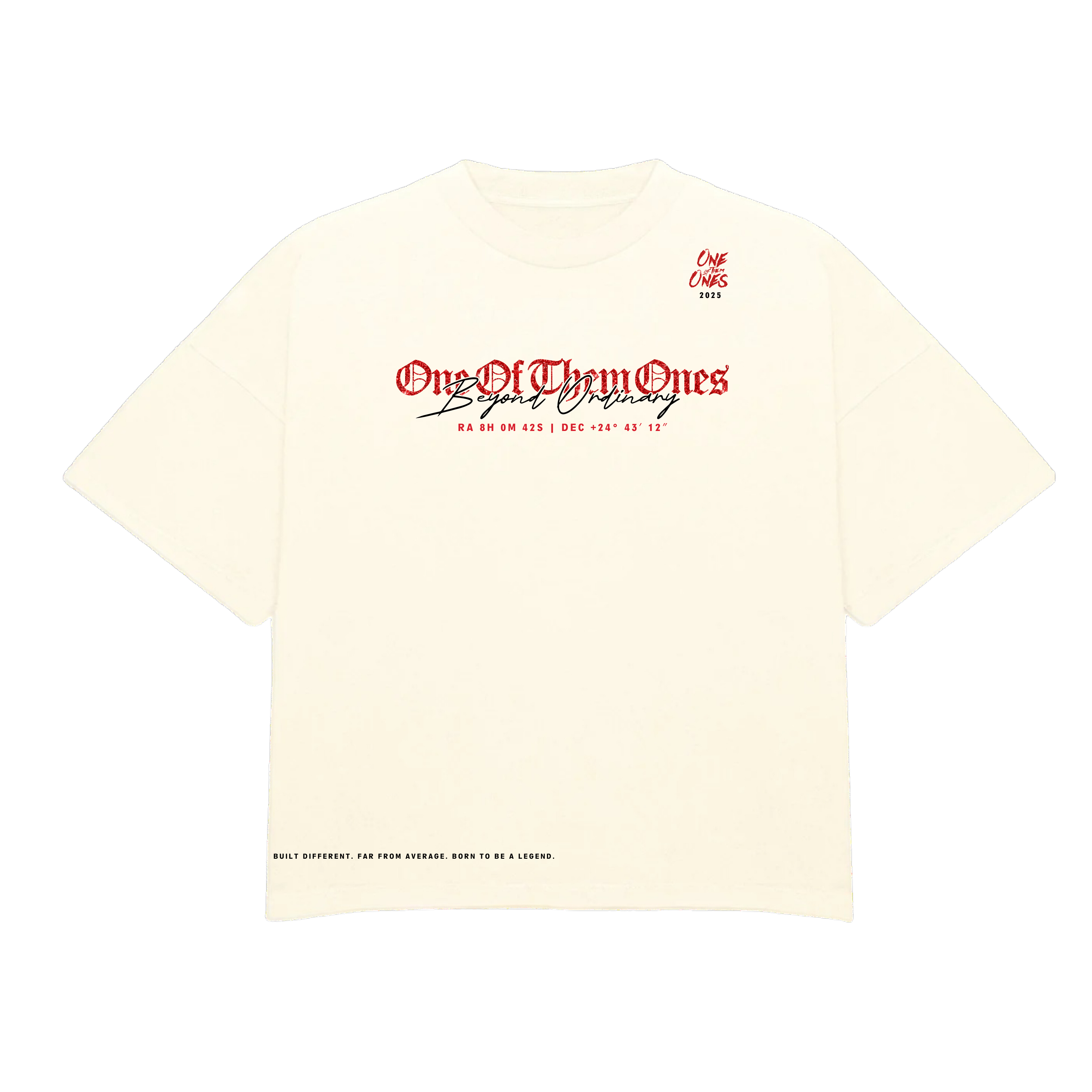 One Of Them Ones Beyond Ordinary T-Shirt