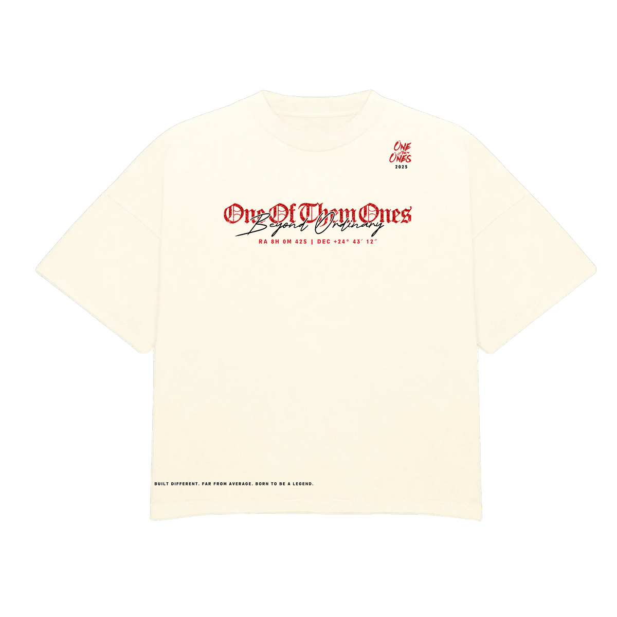 One Of Them Ones Beyond Ordinary T-Shirt
