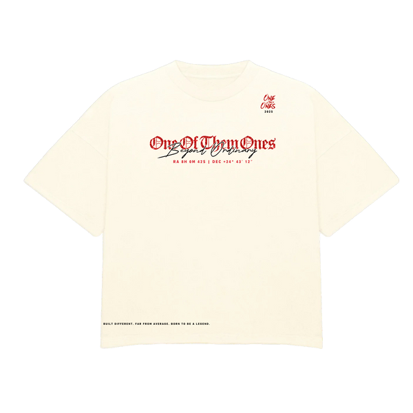 One Of Them Ones Beyond Ordinary T-Shirt
