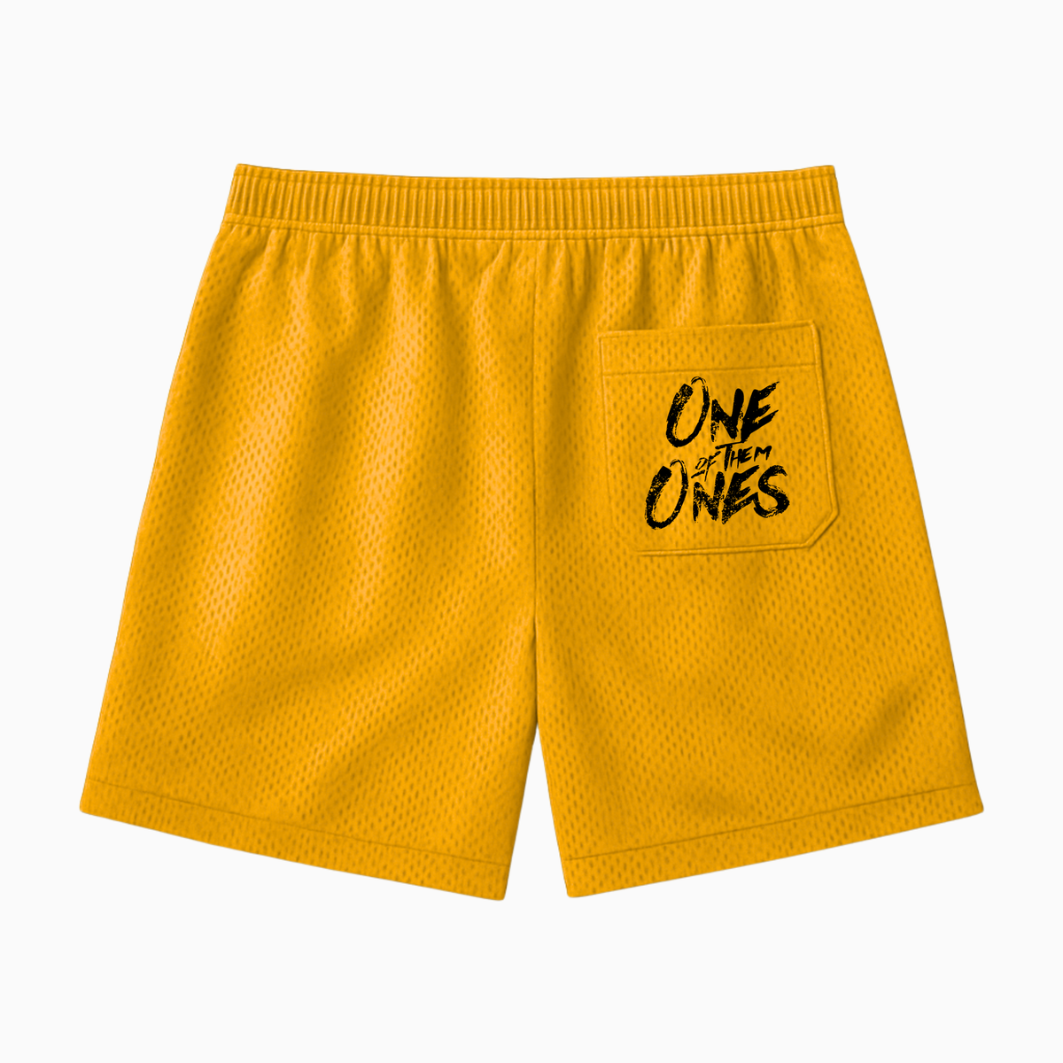 Organik Lyfestyle World Domination Mesh Shorts
